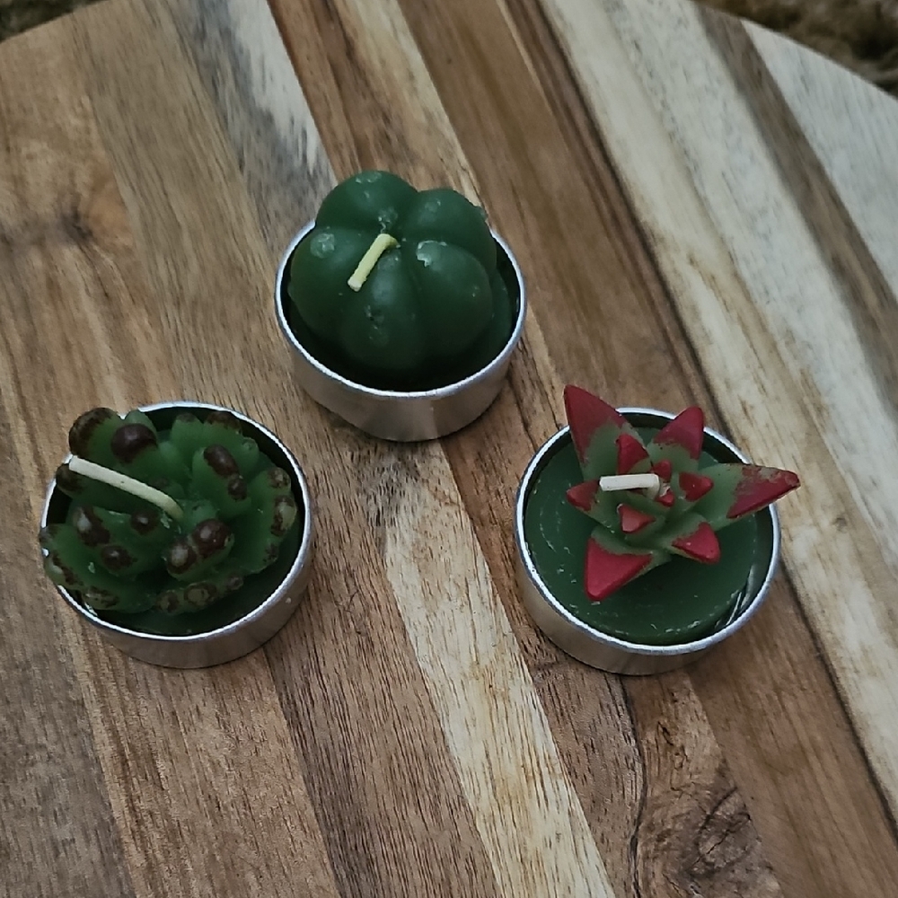 Green and Red Succulent Tealight Candle Set